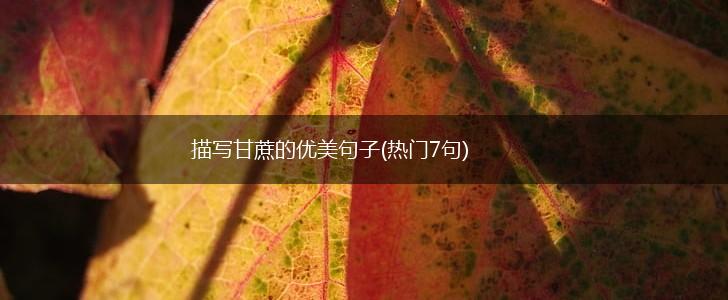 描写甘蔗的优美句子(热门7句),第1张