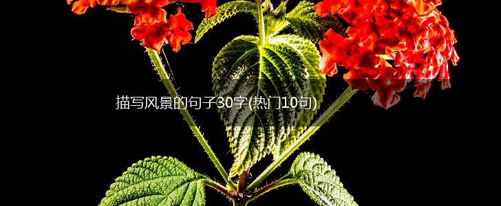 描写风景的句子30字(热门10句),第1张
