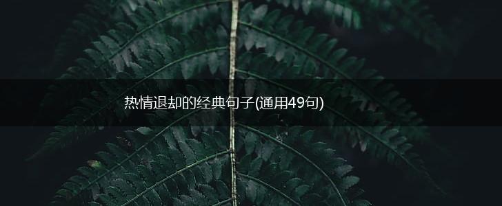 热情退却的经典句子(通用49句),第1张
