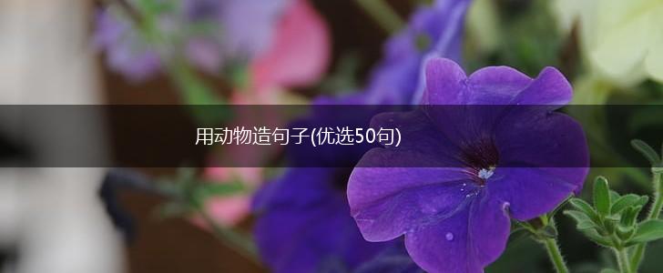 用动物造句子(优选50句),第1张
