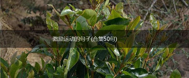 激励运动的句子(合集50句),第1张