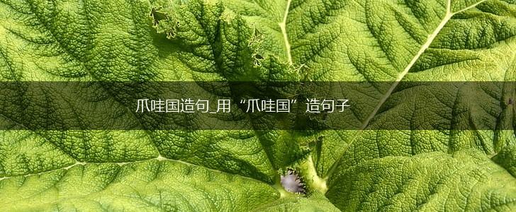 爪哇国造句_用“爪哇国”造句子,第1张