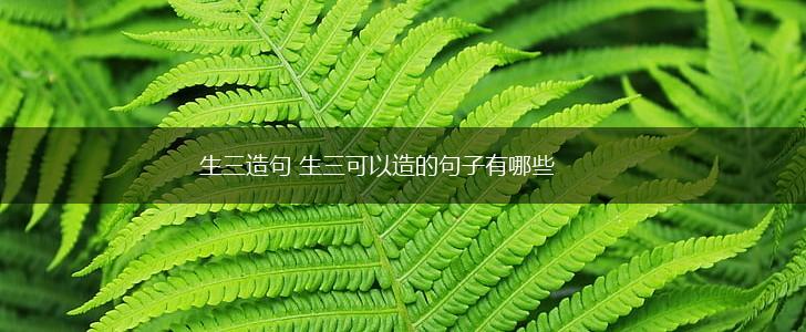 生三造句 生三可以造的句子有哪些,第1张
