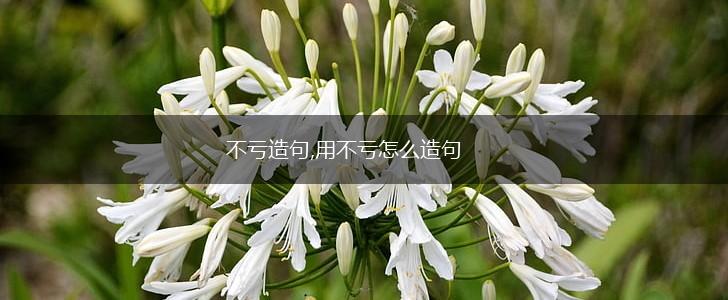 不亏造句,用不亏怎么造句,第1张
