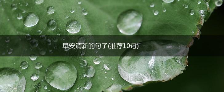 早安清新的句子(推荐10句),第1张