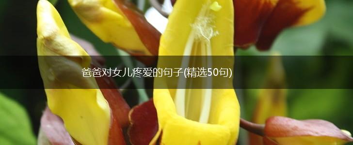 爸爸对女儿疼爱的句子(精选50句),第1张