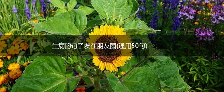 生病的句子发在朋友圈(通用50句),第1张
