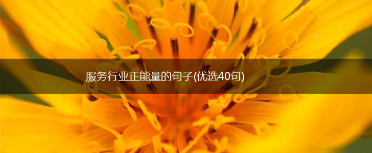 服务行业正能量的句子(优选40句),第1张