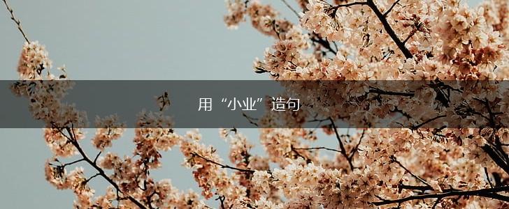 用“小业”造句,第1张 用“小业”造句,第1张