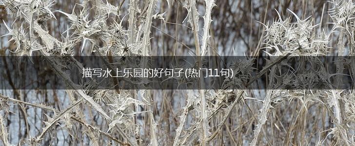 描写水上乐园的好句子(热门11句),第1张