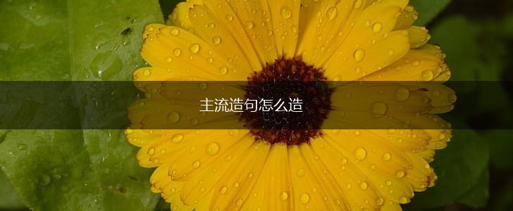 主流造句怎么造,第1张 主流造句怎么造,第1张