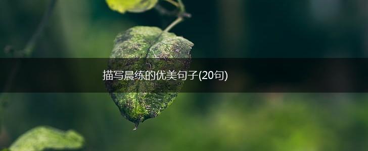 描写晨练的优美句子(20句),第1张