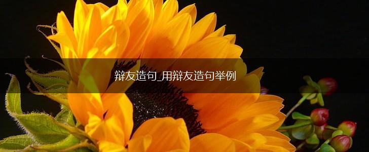 辩友造句_用辩友造句举例,第1张 辩友造句_用辩友造句举例,第1张