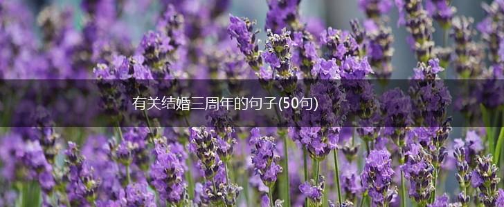有关结婚三周年的句子(50句),第1张