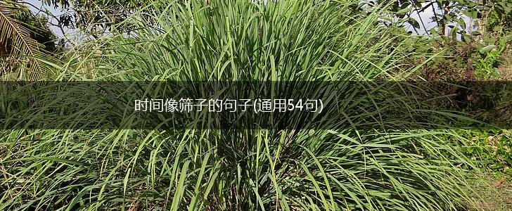 时间像筛子的句子(通用54句),第1张