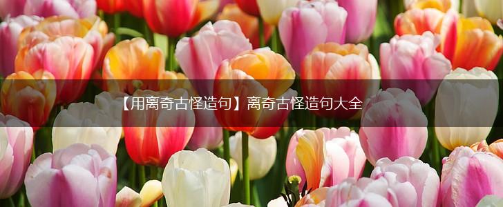 【用离奇古怪造句】离奇古怪造句大全,第1张