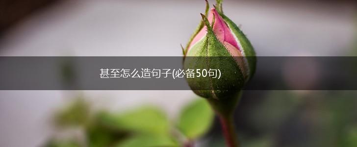 甚至怎么造句子(必备50句),第1张