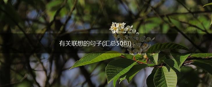 有关联想的句子(汇总50句),第1张