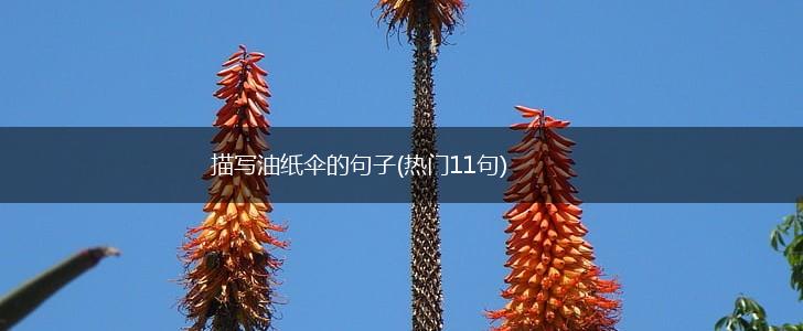 描写油纸伞的句子(热门11句),第1张