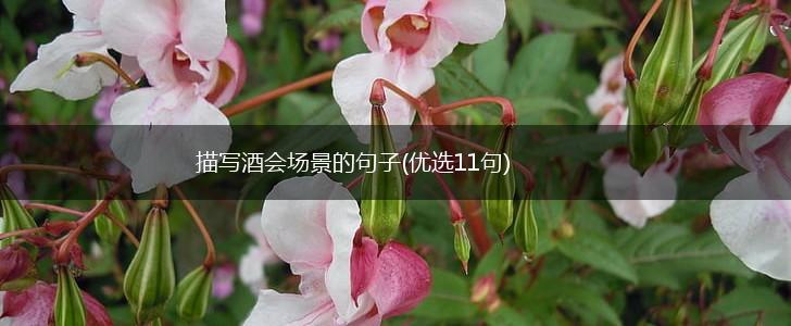 描写酒会场景的句子(优选11句),第1张