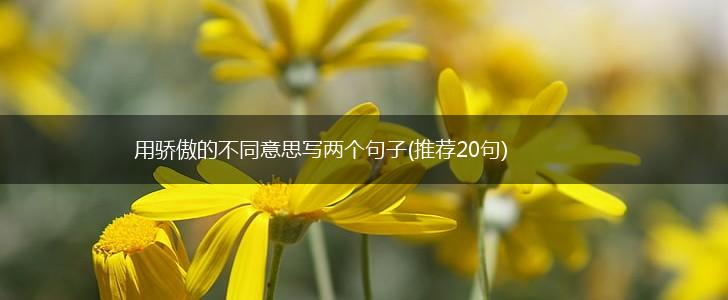 用骄傲的不同意思写两个句子(推荐20句),第1张