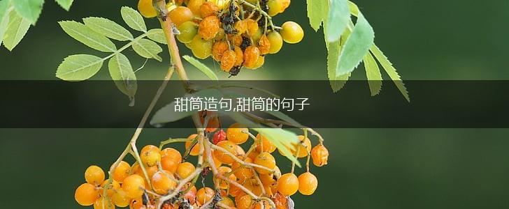 甜筒造句,甜筒的句子,第1张
