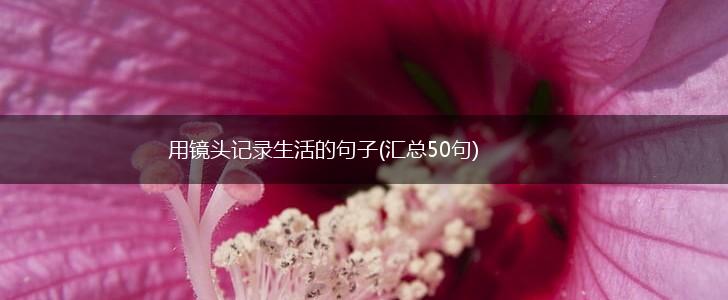 用镜头记录生活的句子(汇总50句),第1张