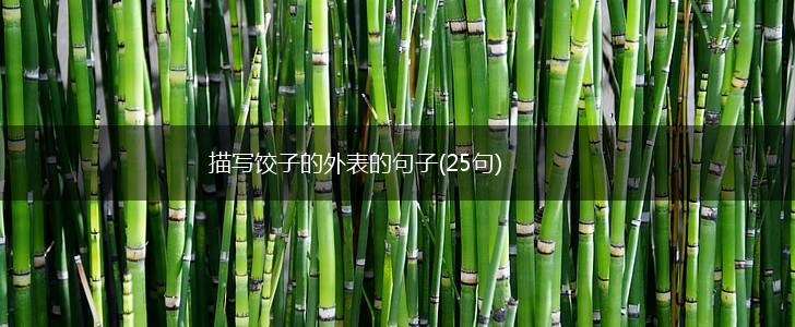 描写饺子的外表的句子(25句),第1张