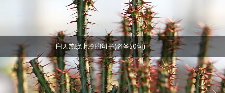白天热晚上冷的句子(必备50句),第1张