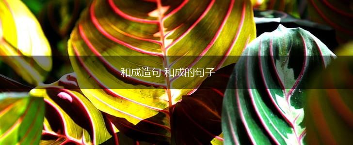 和成造句 和成的句子,第1张