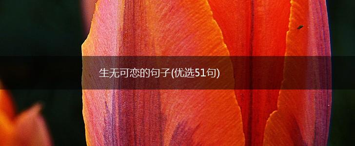 生无可恋的句子(优选51句),第1张
