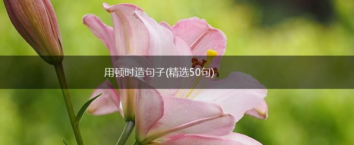 用顿时造句子(精选50句),第1张