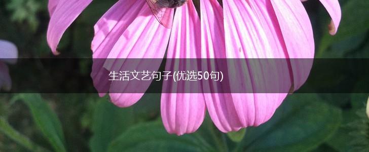 生活文艺句子(优选50句),第1张