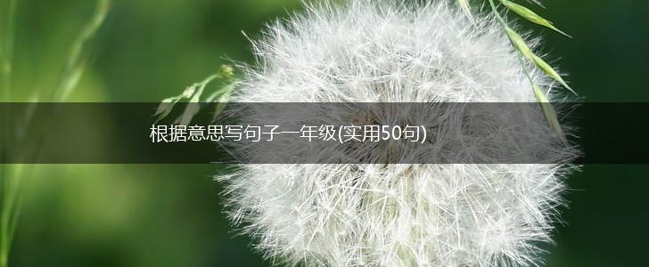 根据意思写句子一年级(实用50句),第1张