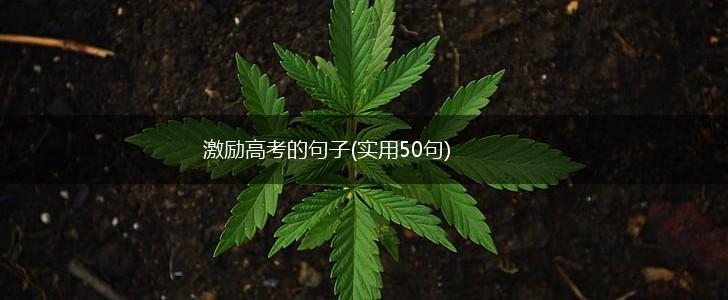 激励高考的句子(实用50句),第1张