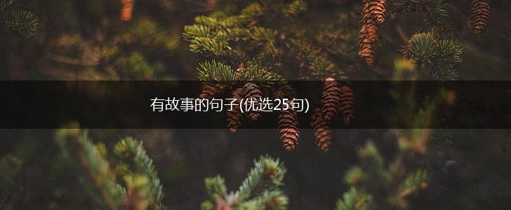 有故事的句子(优选25句),第1张