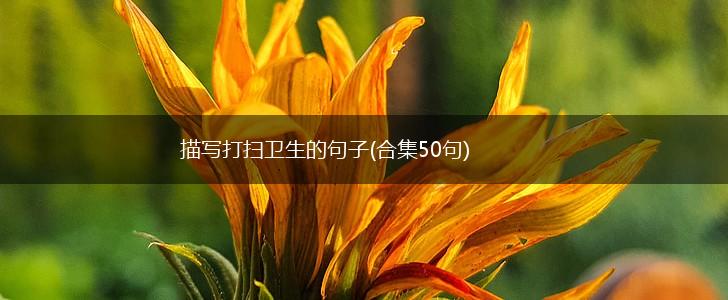 描写打扫卫生的句子(合集50句),第1张