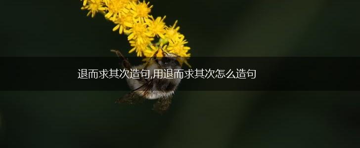 退而求其次造句,用退而求其次怎么造句,第1张