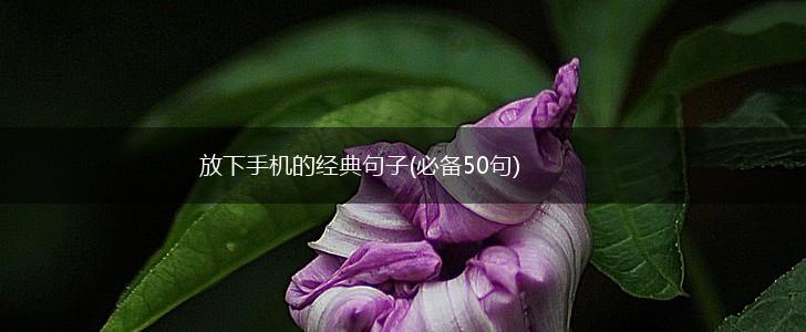 放下手机的经典句子(必备50句),第1张