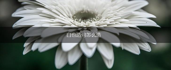 白也造句怎么造,第1张