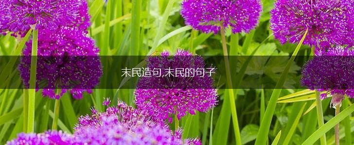 末民造句,末民的句子,第1张