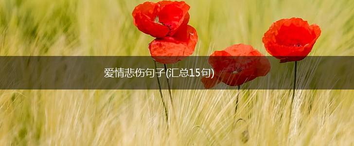 爱情悲伤句子(汇总15句),第1张