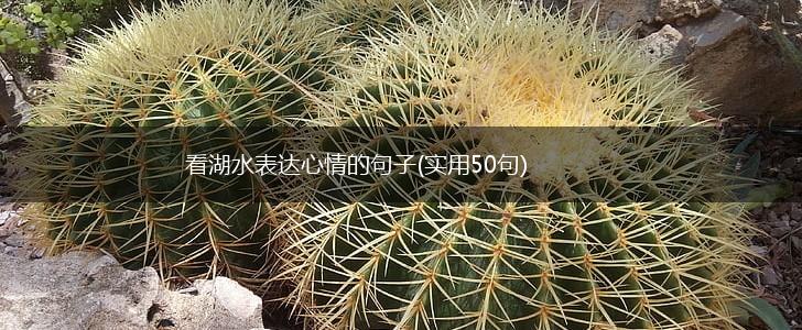 看湖水表达心情的句子(实用50句),第1张