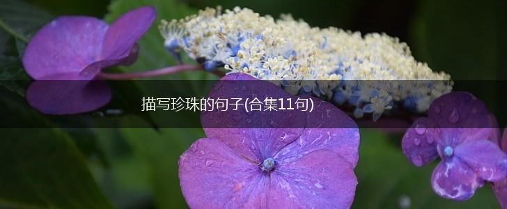 描写珍珠的句子(合集11句),第1张