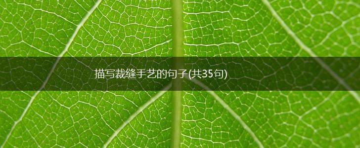 描写裁缝手艺的句子(共35句),第1张