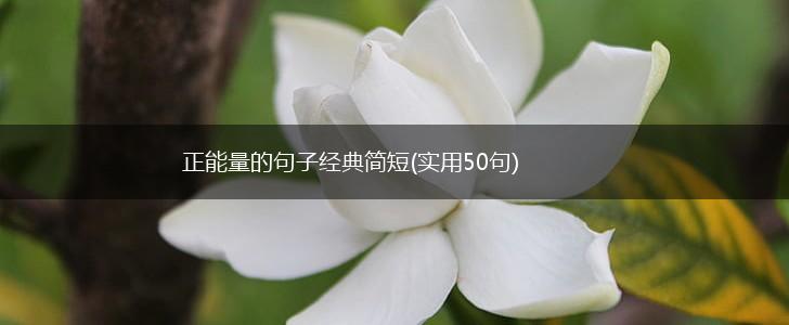 正能量的句子经典简短(实用50句),第1张
