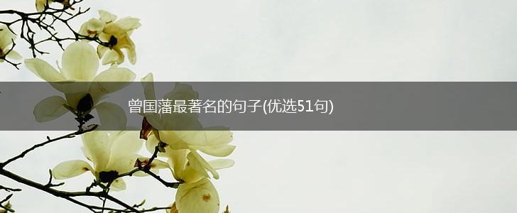 曾国藩最著名的句子(优选51句),第1张