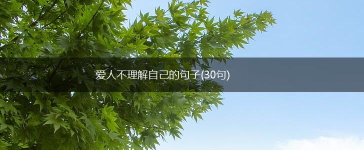 爱人不理解自己的句子(30句),第1张
