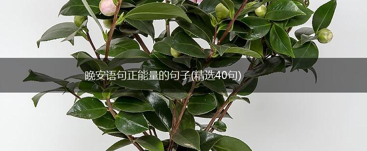 晚安语句正能量的句子(精选40句),第1张