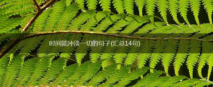 时间能冲淡一切的句子(汇总14句),第1张